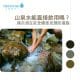 山泉水能直接飲用嗎？揭示潛在安全隱患及預防措施